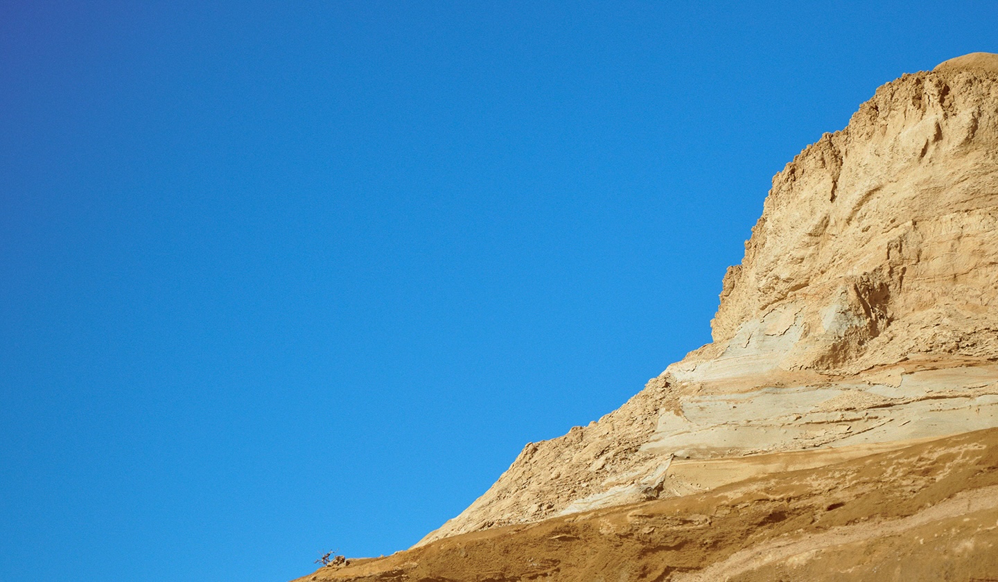 ワイルドシングス2026SS