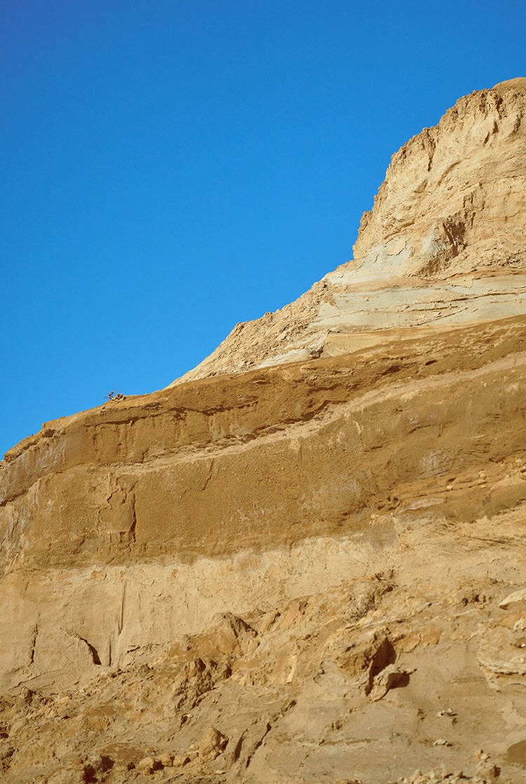 ワイルドシングス2026SS