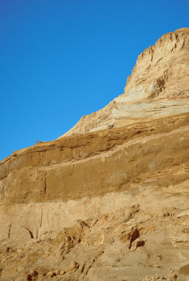 ワイルドシングス2026SS