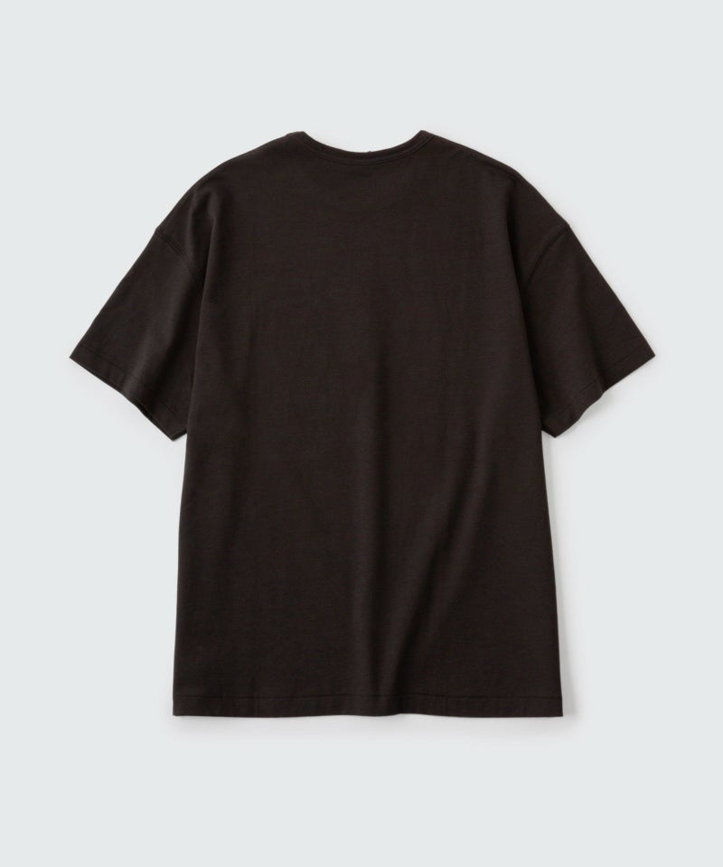 ワイルドシングス デナリキャット