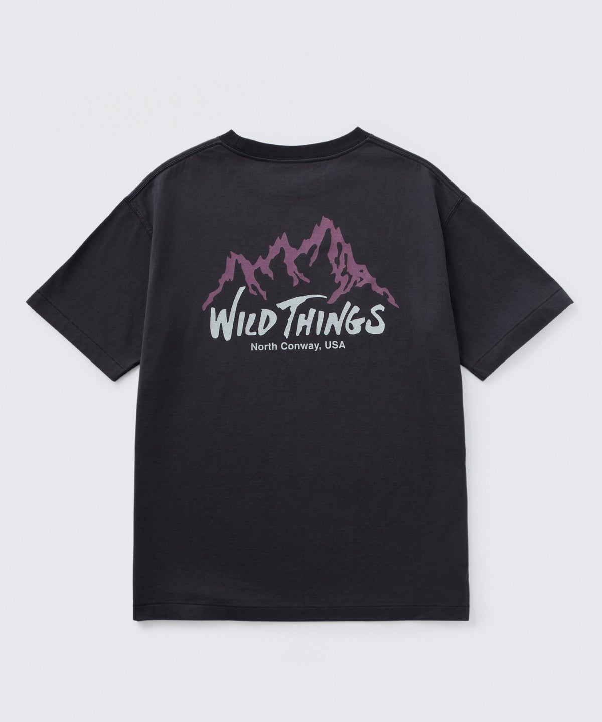 ワイルドマウンテン S/S Tシャツ│WILD MOUNTAIN S/S TEE ワイルドシングス